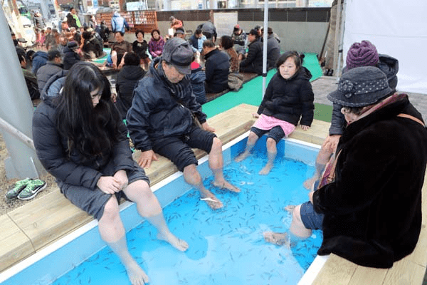 해운대온천 족욕탕에서 시민들이 사람의 피부 각질을 먹는 치료용 물고기(닥터피쉬)가 있는 물에 발을 담그는 모습