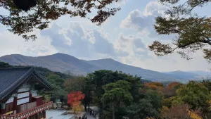 가을 단풍 속 충청남도 수덕사와 주변 산맥 풍경, 평화롭고 고요한 분위기의 사찰