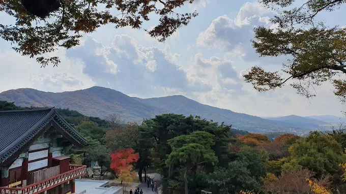 수덕사와 주변의 숲과 나무