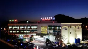 충남 예산 덕산온천 가야관광호텔 야경 전경
