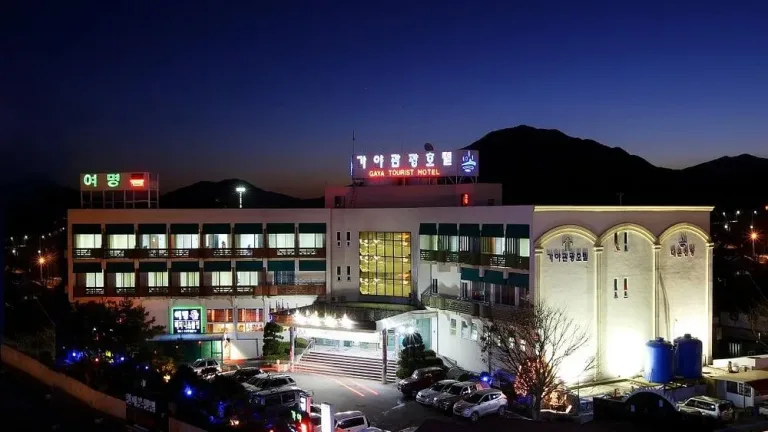 충남 예산 덕산온천 가야관광호텔 야경 전경