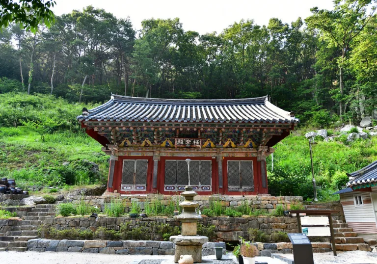 숲속에 자리한 충남 예산 대련사 전각 건물 전경